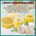 Limon Sarımsak Kürü
