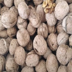 Ceviz Kabuklu (1.KALİTE) 3 Kg